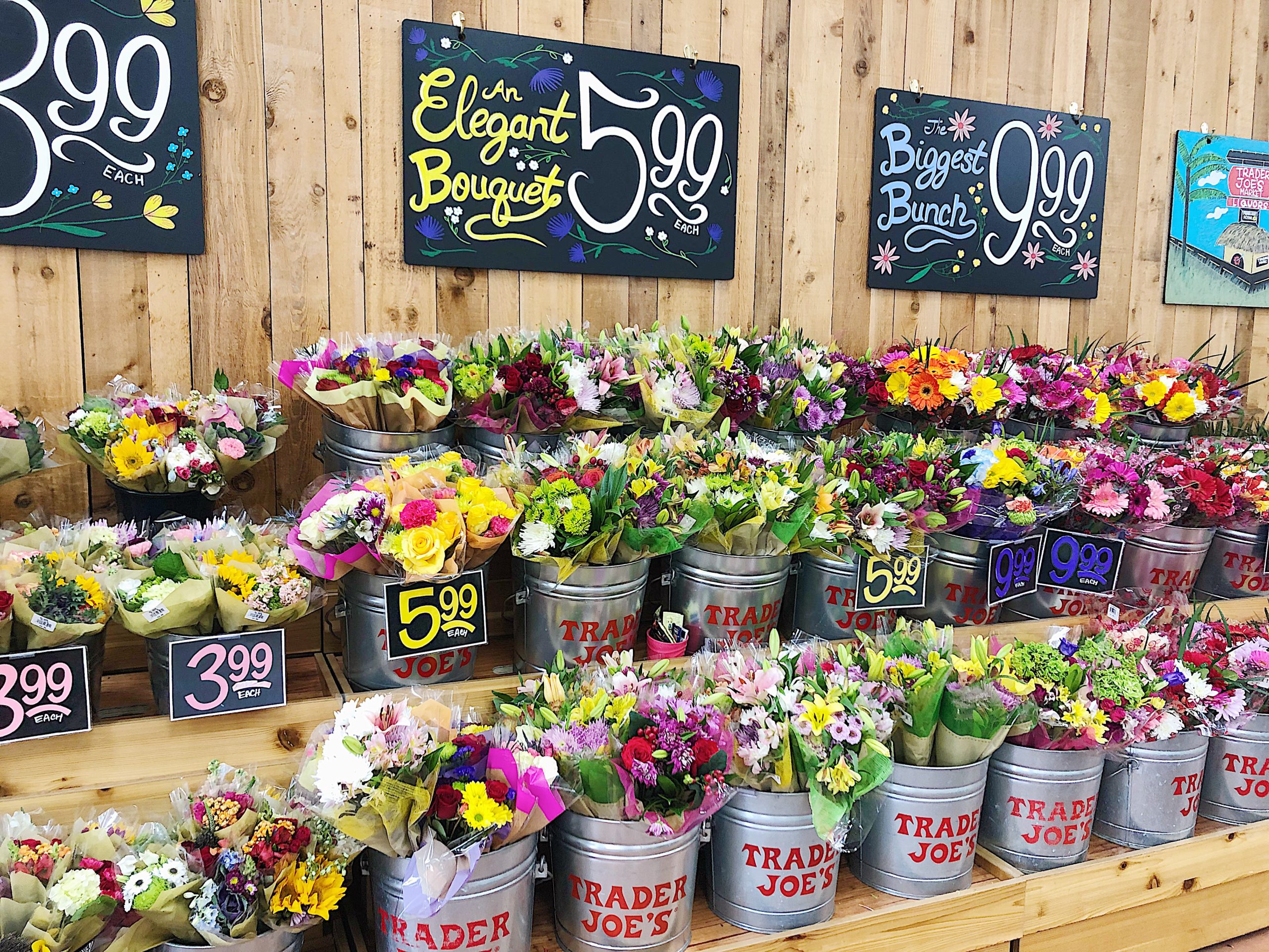 ||||||||||||Trader Joe's Paleo + Gluten Free Shopping Guide||||||||A visual overview of Trader Joe's